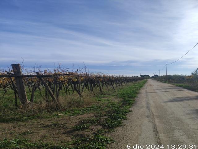 Terreno agricolo in vendita a cerignola zona "olmo"