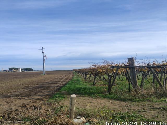 Appartamenti in Vendita - Terreno agricolo in vendita a cerignola zona  "olmo"