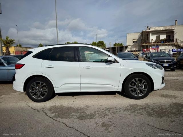 Auto - Ford kuga 1.5 ecoblue 120 cv 2wd st-line x