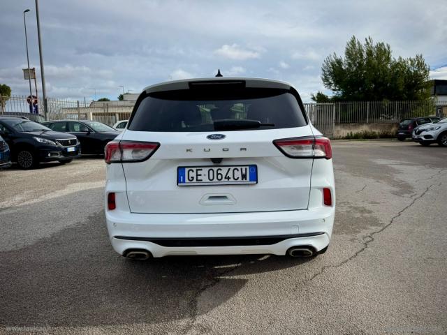 Auto - Ford kuga 1.5 ecoblue 120 cv 2wd st-line x