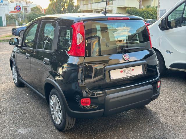 Auto - Fiat panda 1.0 firefly s&s hybrid