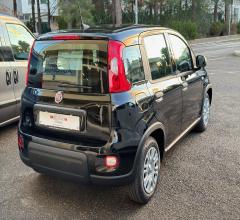 Auto - Fiat panda 1.0 firefly s&s hybrid