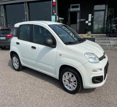 Auto - Fiat panda 1.3 mjt s&s easy van 4 posti