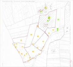 Terreno agricolo in vendita a torino di sangro periferia