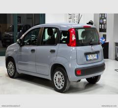 Auto - Fiat panda 1.2 lounge