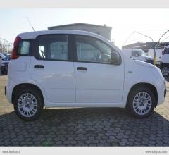 Auto - Fiat panda 1.3 mjt 95 cv s&s easy