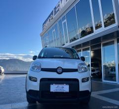 Auto - Fiat panda 1.0 firefly s&s hybrid city life