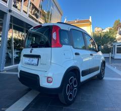 Auto - Fiat panda 1.0 firefly s&s hybrid city life