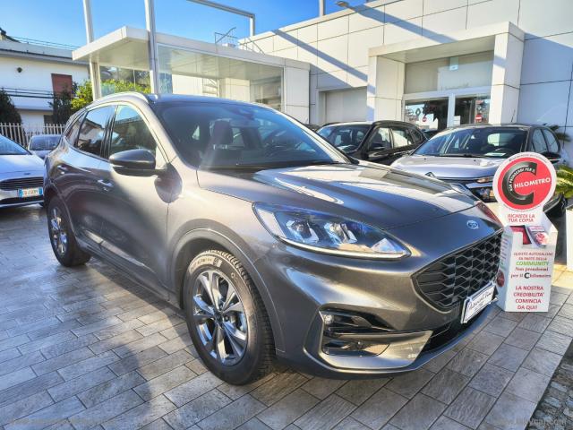 Auto - Ford kuga 1.5 ecoblue 120 cv 2wd st-line