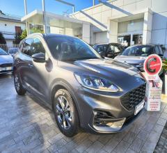 Ford kuga 1.5 ecoblue 120 cv 2wd st-line