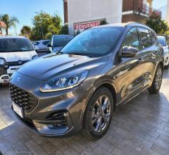 Auto - Ford kuga 1.5 ecoblue 120 cv 2wd st-line