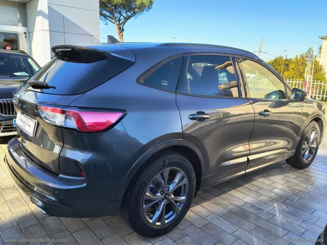 Auto - Ford kuga 1.5 ecoblue 120 cv 2wd st-line