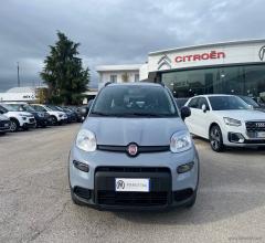 Auto - Fiat panda 1.0 firefly s&s hybrid city life