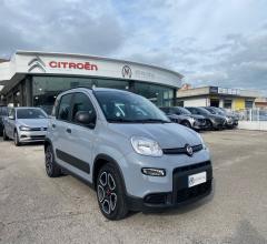 Auto - Fiat panda 1.0 firefly s&s hybrid city life