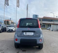 Auto - Fiat panda 1.0 firefly s&s hybrid city life