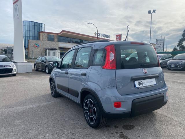 Auto - Fiat panda 1.0 firefly s&s hybrid city life