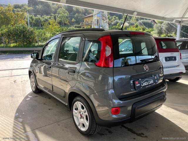 Auto - Fiat panda 1.0 firefly s&s hybrid city life