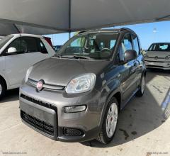 Auto - Fiat panda 1.0 firefly s&s hybrid city life