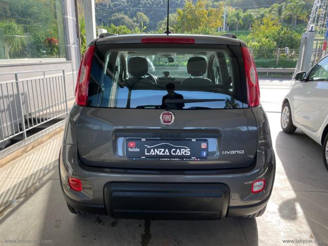 Auto - Fiat panda 1.0 firefly s&s hybrid city life