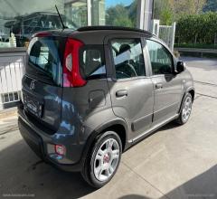 Auto - Fiat panda 1.0 firefly s&s hybrid city life