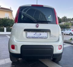 Auto - Fiat panda 1.0 firefly s&s hybrid city life