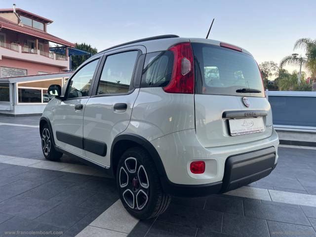 Auto - Fiat panda 1.0 firefly s&s hybrid city life