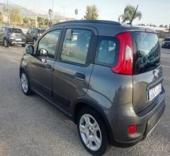 Auto - Fiat panda 1.0 firefly s&s hybrid red