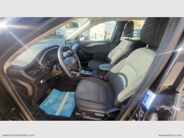 Auto - Ford kuga 1.5 ecoblue 120 cv 2wd titanium bus