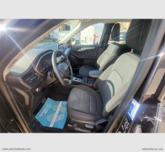 Auto - Ford kuga 1.5 ecoblue 120 cv 2wd titanium bus