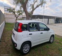 Auto - Fiat panda 1.2 easy