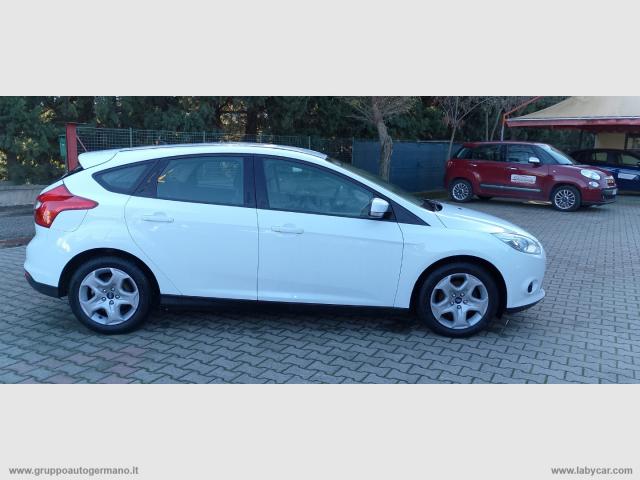 Auto - Ford focus 1.6 tdci 115 cv