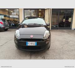 Auto - Fiat punto 1.2 8v 5p. street