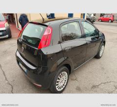 Auto - Fiat punto 1.2 8v 5p. street