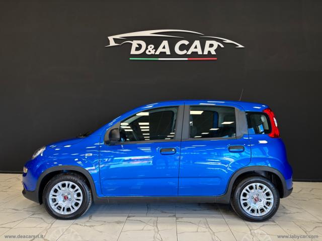 Auto - Fiat panda 1.0 firefly s&s hybrid