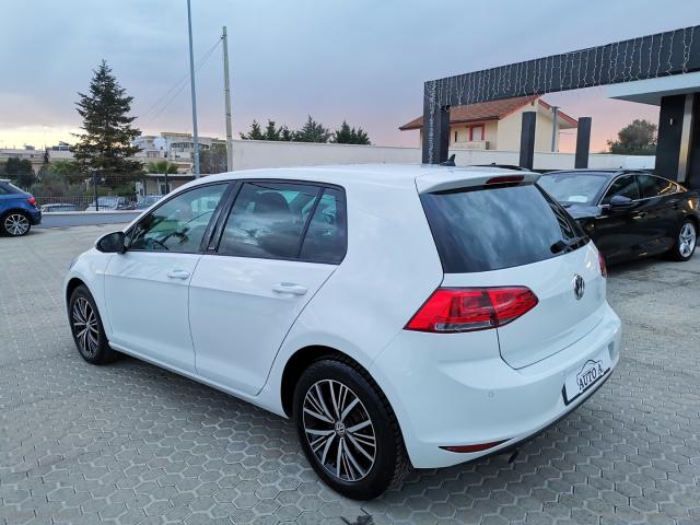 Auto - Volkswagen golf 1.6 tdi 110 cv 5p. allstar