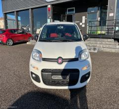 Auto - Fiat panda 1.2 gpl pop van 2 posti