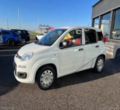 Auto - Fiat panda 1.2 gpl pop van 2 posti