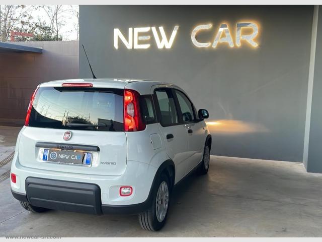 Auto - Fiat panda 1.0 firefly s&s hybrid