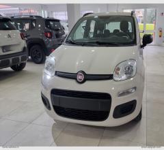 Auto - Fiat panda 1.3 mjt 95 cv s&s easy