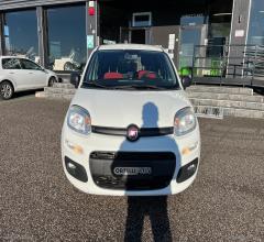 Auto - Fiat panda 1.3 mjt s&s pop van 2 posti