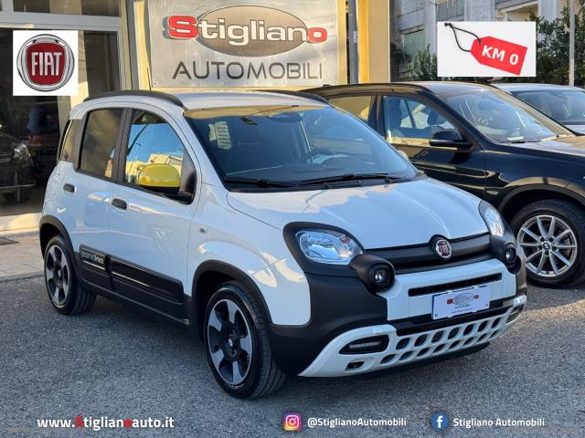 Fiat panda 1.0 firefly s&s hybrid pandina