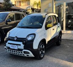 Auto - Fiat panda 1.0 firefly s&s hybrid pandina