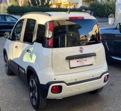 Auto - Fiat panda 1.0 firefly s&s hybrid pandina