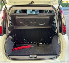 Auto - Fiat panda 1.0 firefly s&s hybrid pandina