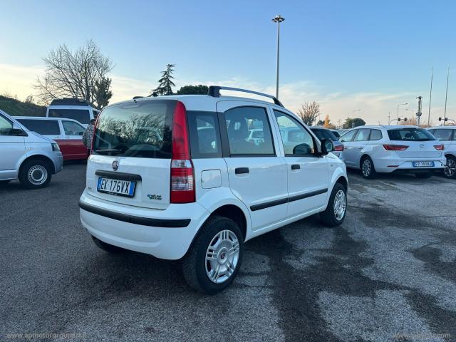 Auto - Fiat panda 1.4 dynamic natural power mamy