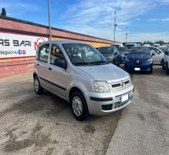 Auto - Fiat panda dynamic 1.2 60cv