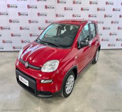 Auto - Fiat panda 1.0 firefly s&s hybrid pandina