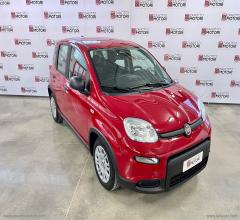 Auto - Fiat panda 1.0 firefly s&s hybrid pandina