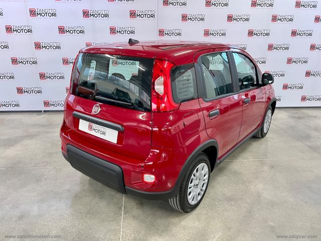 Auto - Fiat panda 1.0 firefly s&s hybrid pandina