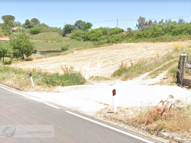 Terreno agricolo in vendita a prizzi bivio di prizzi